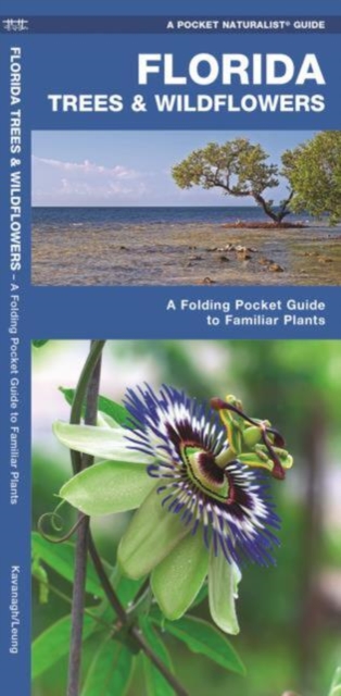 Florida Trees & Wildflowers : A Folding Pocket Guide to Familiar Species, Pamphlet Book
