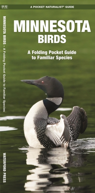 Minnesota Birds : A Folding Pocket Guide to Familiar Species, Pamphlet Book