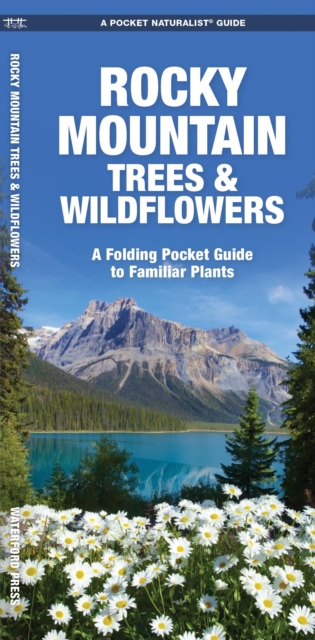 Rocky Mountain Trees & Wildflowers : A Folding Pocket Guide to Familiar Species, Pamphlet Book
