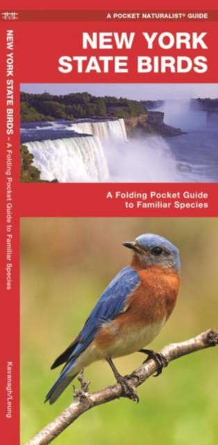 New York State Birds : A Folding Pocket Guide to Familiar Species, Pamphlet Book