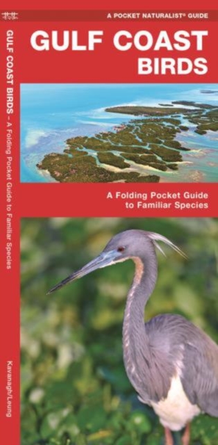 Gulf Coast Birds : A Folding Pocket Guide to Familiar Species, Pamphlet Book