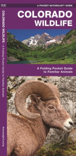 Colorado Wildlife : A Folding Pocket Guide to Familiar Animals, Pamphlet Book