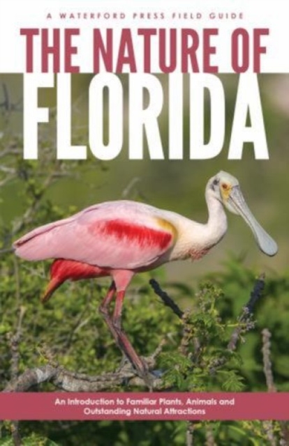The Nature of Florida : An Introduction to Familiar Plants, Animals & Outstanding Natural Attractions, Paperback / softback Book