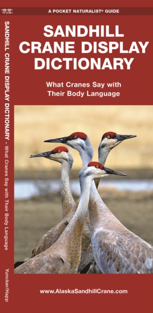 Sandhill Crane Display Dictionary : What Cranes Say With Their Body Language, Pamphlet Book