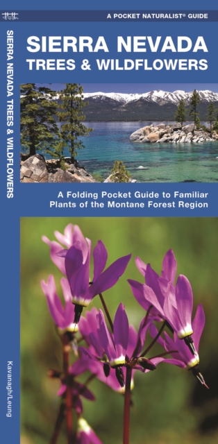 Sierra Nevada Trees & Wildflowers : A Folding Pocket Guide to Familiar Species of the Montane Forest Region, Pamphlet Book