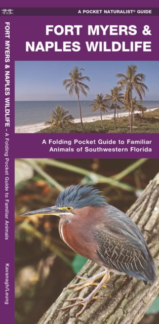 Fort Myers & Naples Wildlife : A Folding Pocket Guide to Familiar Animals of Southwestern Florida, Pamphlet Book