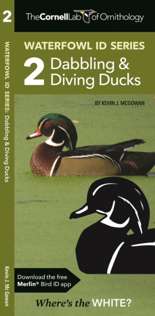 The Cornell Lab of Ornithology Waterfowl ID 2 Dabbling & Diving Ducks, Pamphlet Book