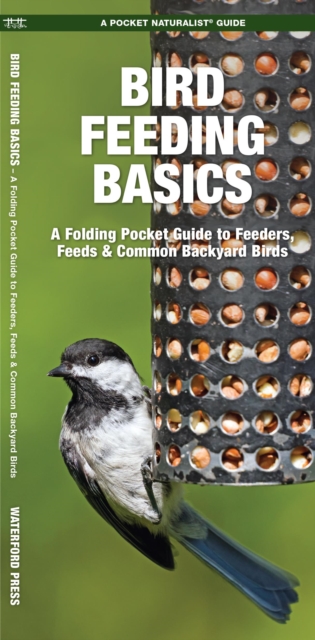 Bird Feeding Basics : An Introduction to Feeders, Feeds & Common Backyard Birds, Pamphlet Book