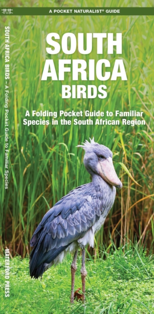 South Africa Birds : A Folding Pocket Guide to Familiar Species, Pamphlet Book