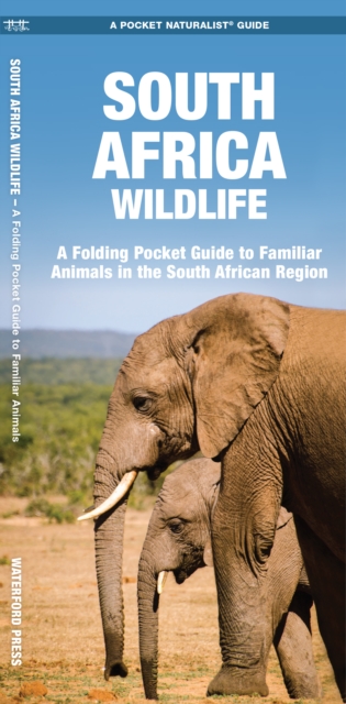 South Africa Wildlife, Pamphlet Book
