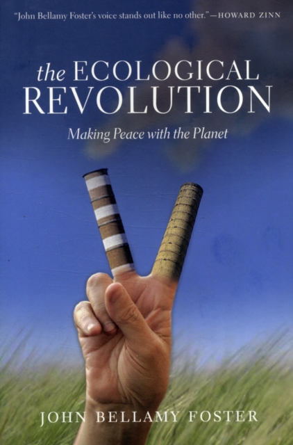 The Ecological Revolution : Making Peace with the Planet, Paperback / softback Book
