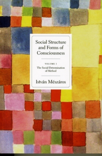 Social Structures and Forms of Consciousness, Paperback / softback Book
