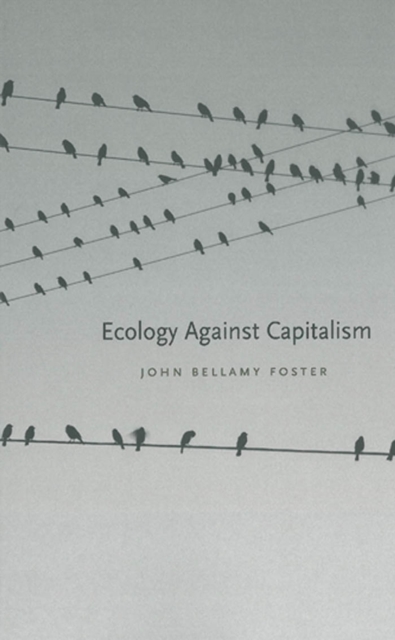 Ecology Against Capitalism, EPUB eBook