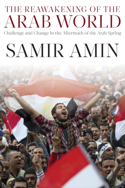The Reawakening of the Arab World : Challenge and Change in the Aftermath of the Arab Spring, EPUB eBook