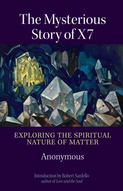 The Mysterious Story of X7 : Exploring the Spiritual Nature of Matter, EPUB eBook