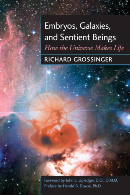 Embryos, Galaxies, and Sentient Beings : How the Universe Makes Life, EPUB eBook