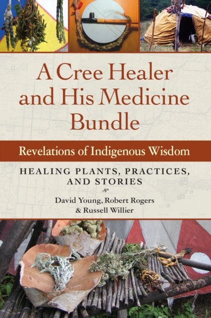 A Cree Healer and His Medicine Bundle : Revelations of Indigenous Wisdom--Healing Plants, Practices, and Stories, Paperback / softback Book