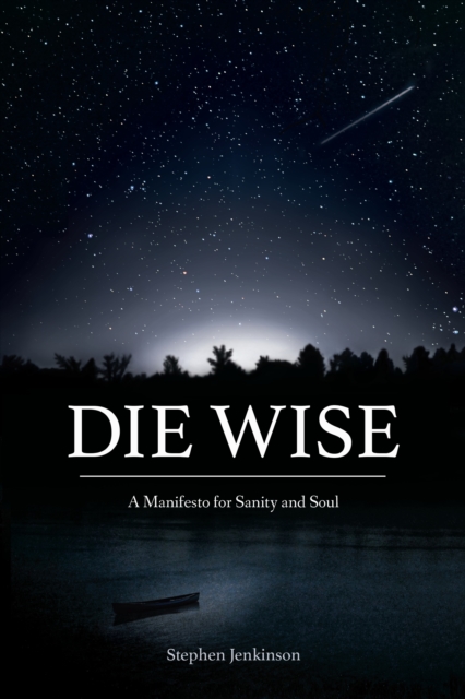 Die Wise : A Manifesto for Sanity and Soul, Paperback / softback Book