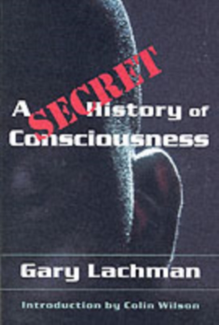 A Secret History of Consciousness, Paperback / softback Book