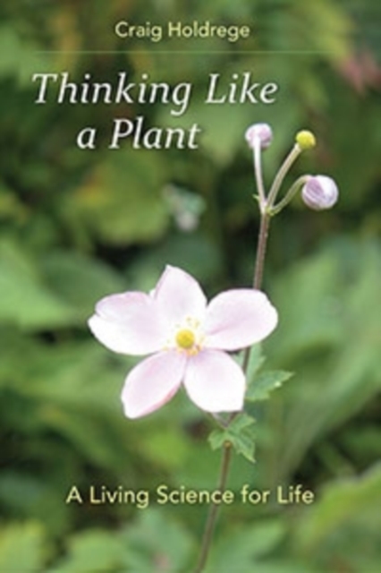 Thinking Like a Plant : A Living Science for Life, Paperback / softback Book