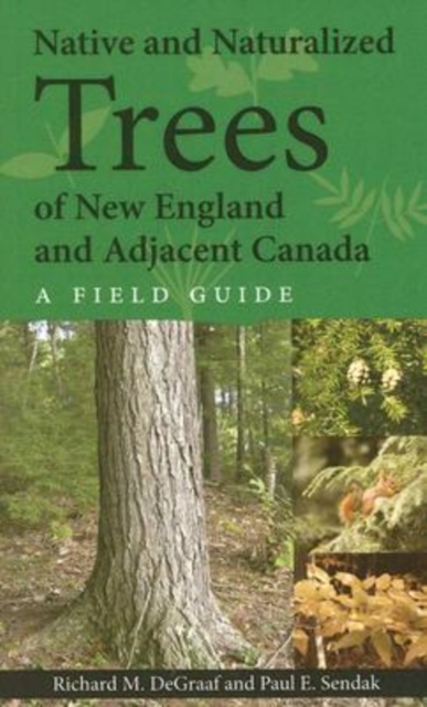 Native and Naturalized Trees of New England and Adjacent Canada, Paperback / softback Book