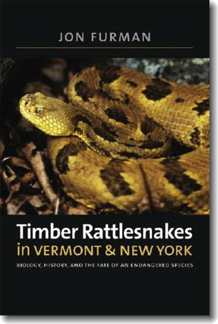 Timber Rattlesnakes in Vermont & New York, Paperback / softback Book