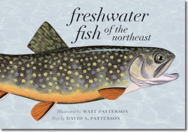 Freshwater Fish of the Northeast, Hardback Book