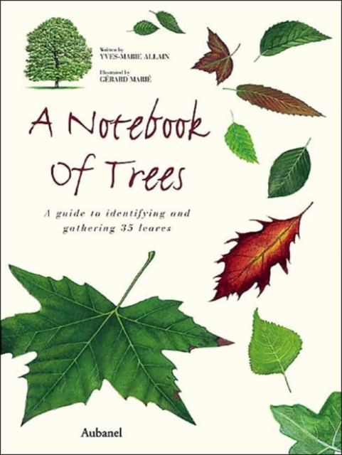 A Notebook of Trees : A Guide to Identifying and Gathering 35 Leaves, Hardback Book