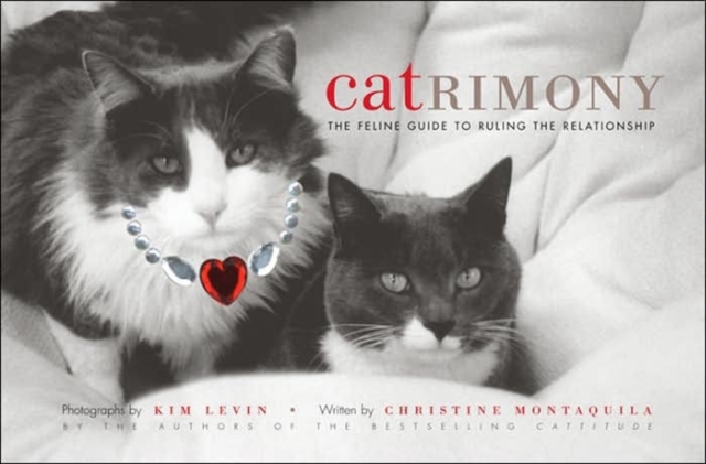 Catrimony : The Feline Guide to Ruling the Relationship, Hardback Book