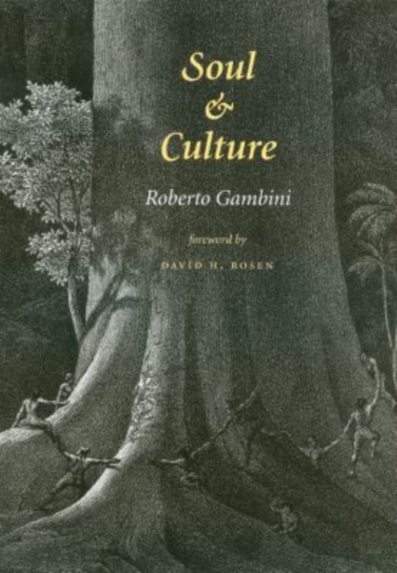 Soul and Culture, Hardback Book