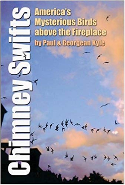 Chimney Swifts : America's Mysterious Birds Above the Fireplace, Paperback / softback Book