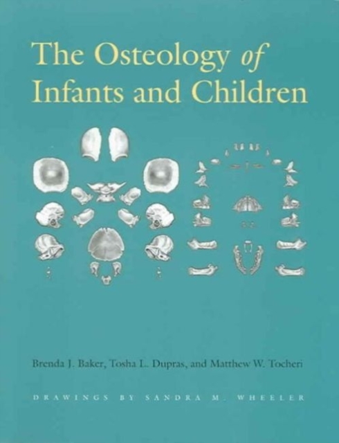 The Osteology of Infants and Children, Paperback / softback Book