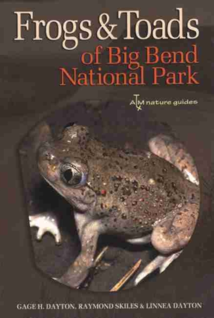Frogs and Toads of Big Bend National Park, Paperback / softback Book