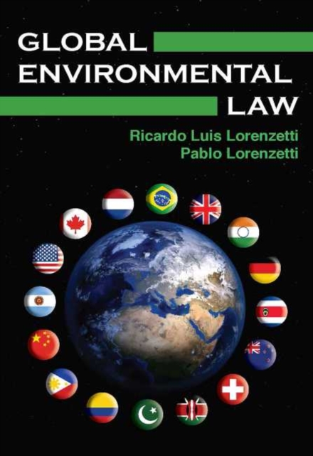 Global Environmental Law, Paperback / softback Book