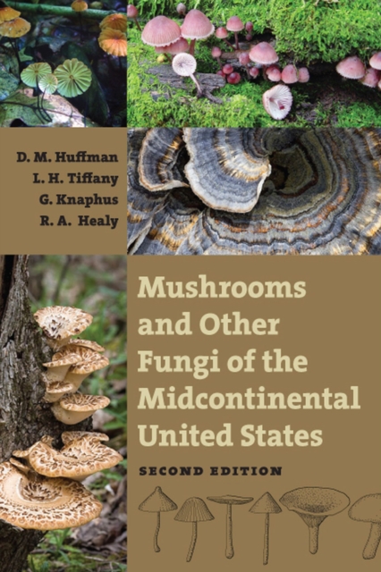 Mushrooms and Other Fungi of the Midcontinental United States, Paperback / softback Book