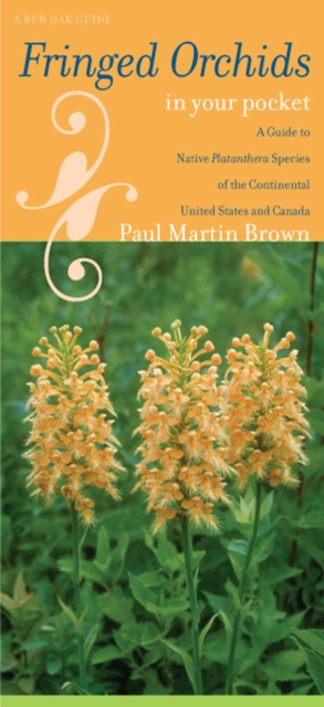 Fringed Orchids in Your Pocket : A Guide to Native Platanthera Species of the Continental United States and Canada, Paperback / softback Book