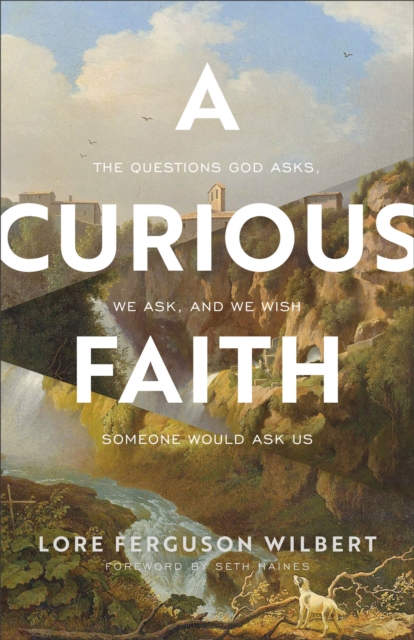 A Curious Faith - The Questions God Asks, We Ask, and We Wish Someone Would Ask Us, Paperback / softback Book