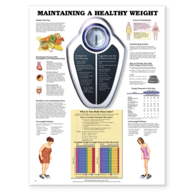 Maintaining A Healthy Weight, Wallchart Book