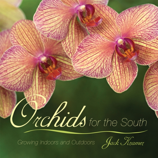 Orchids for the South : Growing Indoors and Outdoors, Paperback / softback Book