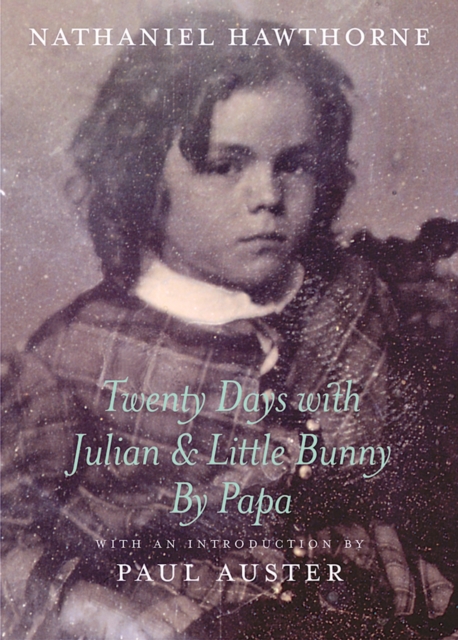 Twenty Days With Julian & Little Bu, Paperback / softback Book