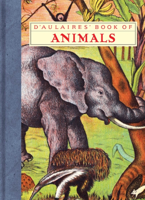 D'aulaires' Book Of Animals, Paperback / softback Book