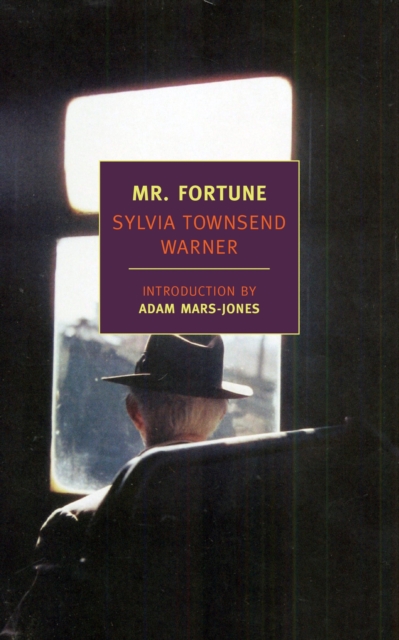 Mr. Fortune, EPUB eBook