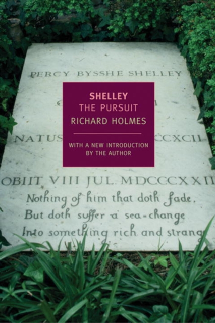 Shelley: The Pursuit, EPUB eBook