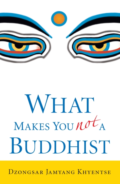 What Makes You Not a Buddhist, Paperback / softback Book