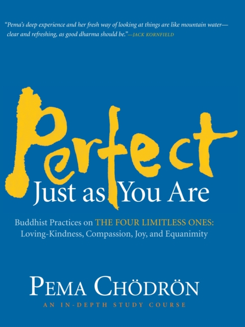 Perfect Just as You Are : Buddhist Practices on the Four Limitless Ones--Loving-Kindness, Compassion, Joy, and Equanimity, CD-Audio Book