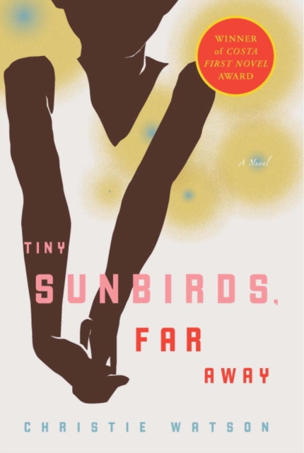 Tiny Sunbirds, Far Away, EPUB eBook