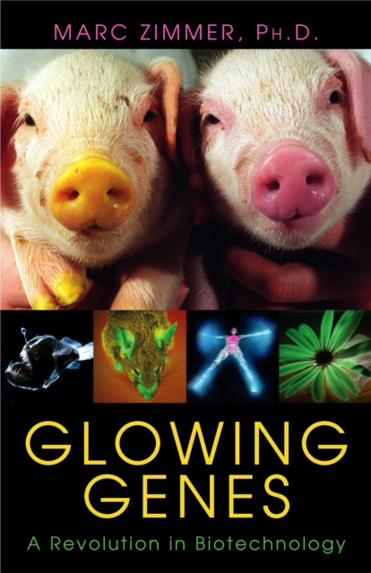 Glowing Genes : A Revolution In Biotechnology, Hardback Book