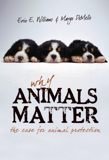 Why Animals Matter : The Case for Animal Protection, Paperback / softback Book