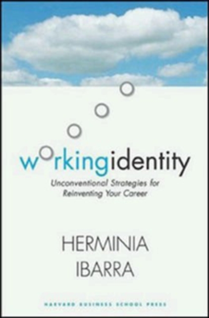 Working Identity : Unconventional Strategies for Reinventing Your Career, Paperback / softback Book