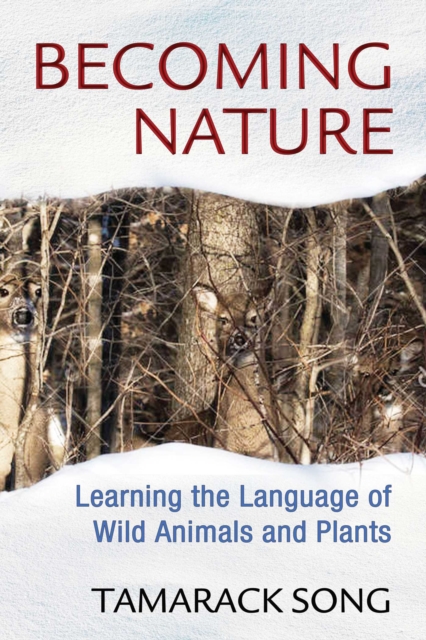 Becoming Nature : Learning the Language of Wild Animals and Plants, EPUB eBook